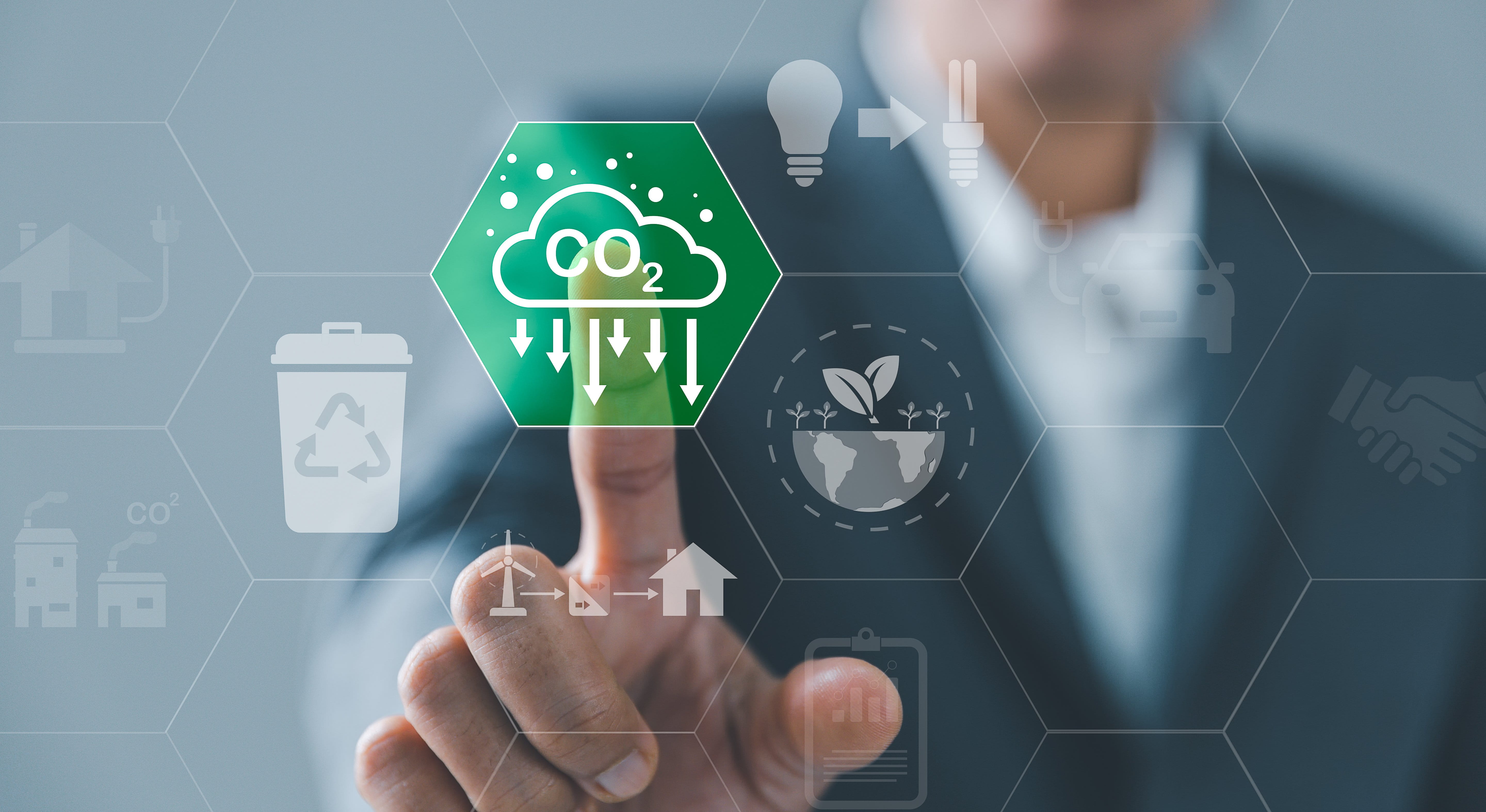 Sustainability in Business Computing
